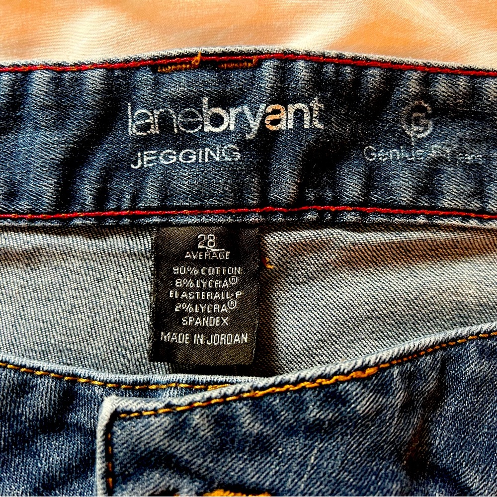 The famous Lane Bryant Jegging Genius Fit Jeans!